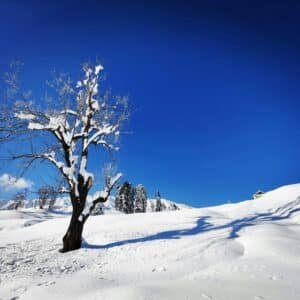 kashmir in january