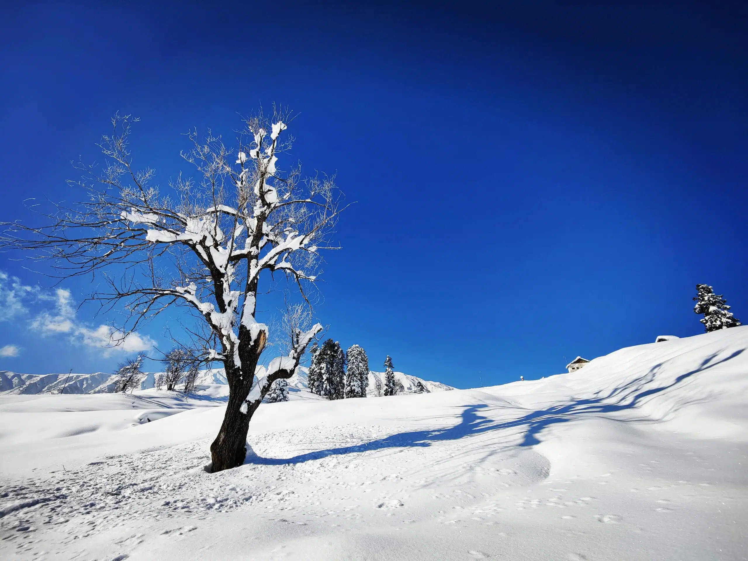 kashmir in january