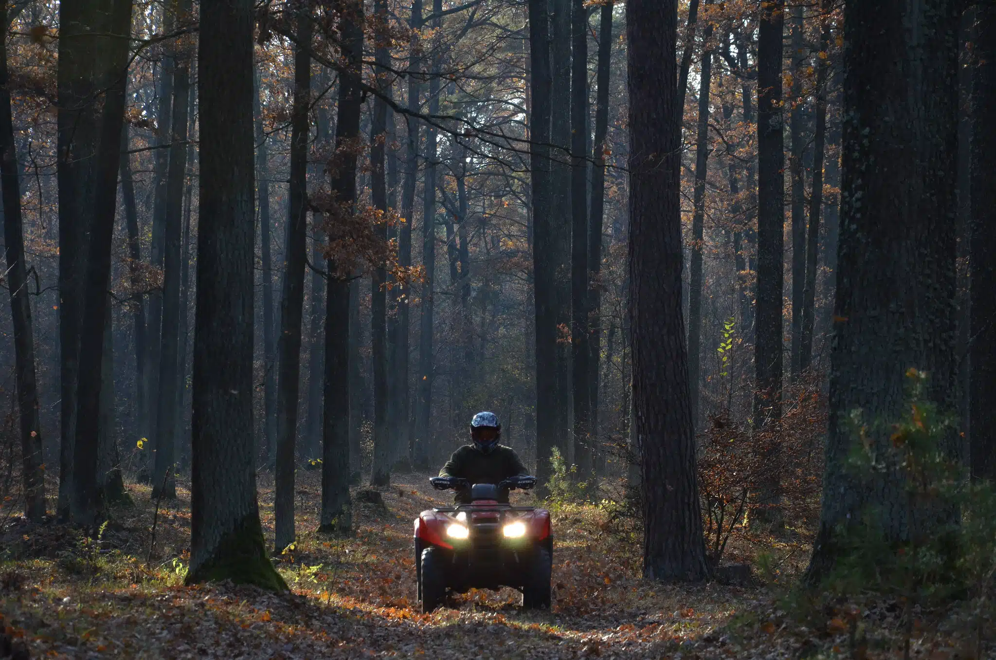 atv ride in forest