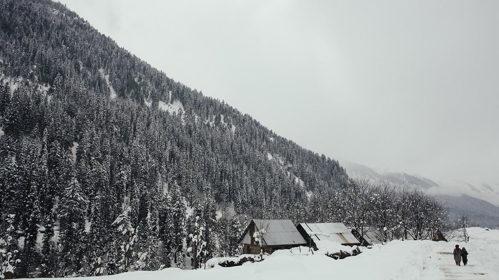 Snow-covered mountain with trees and cabins