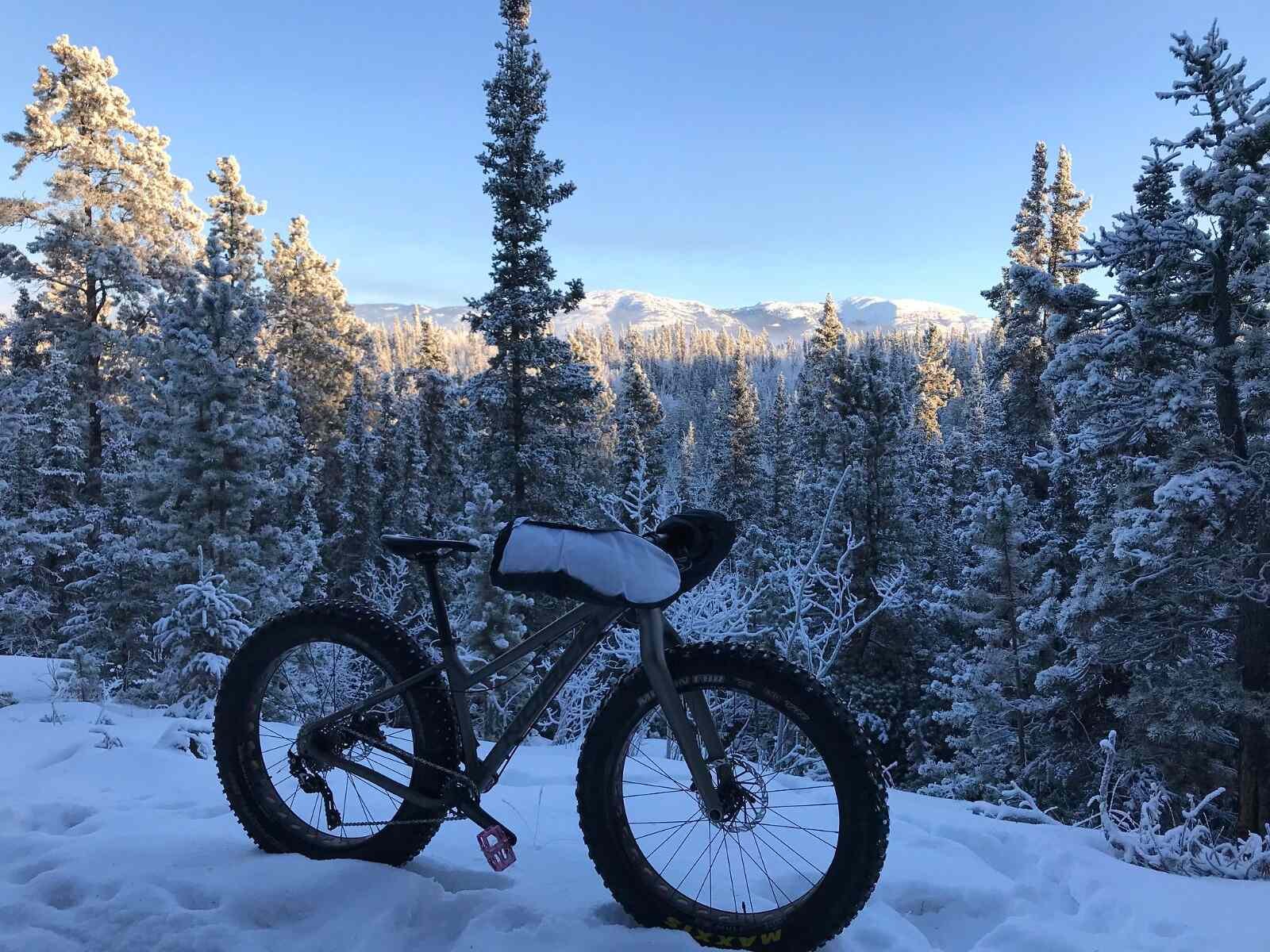 Snow biking