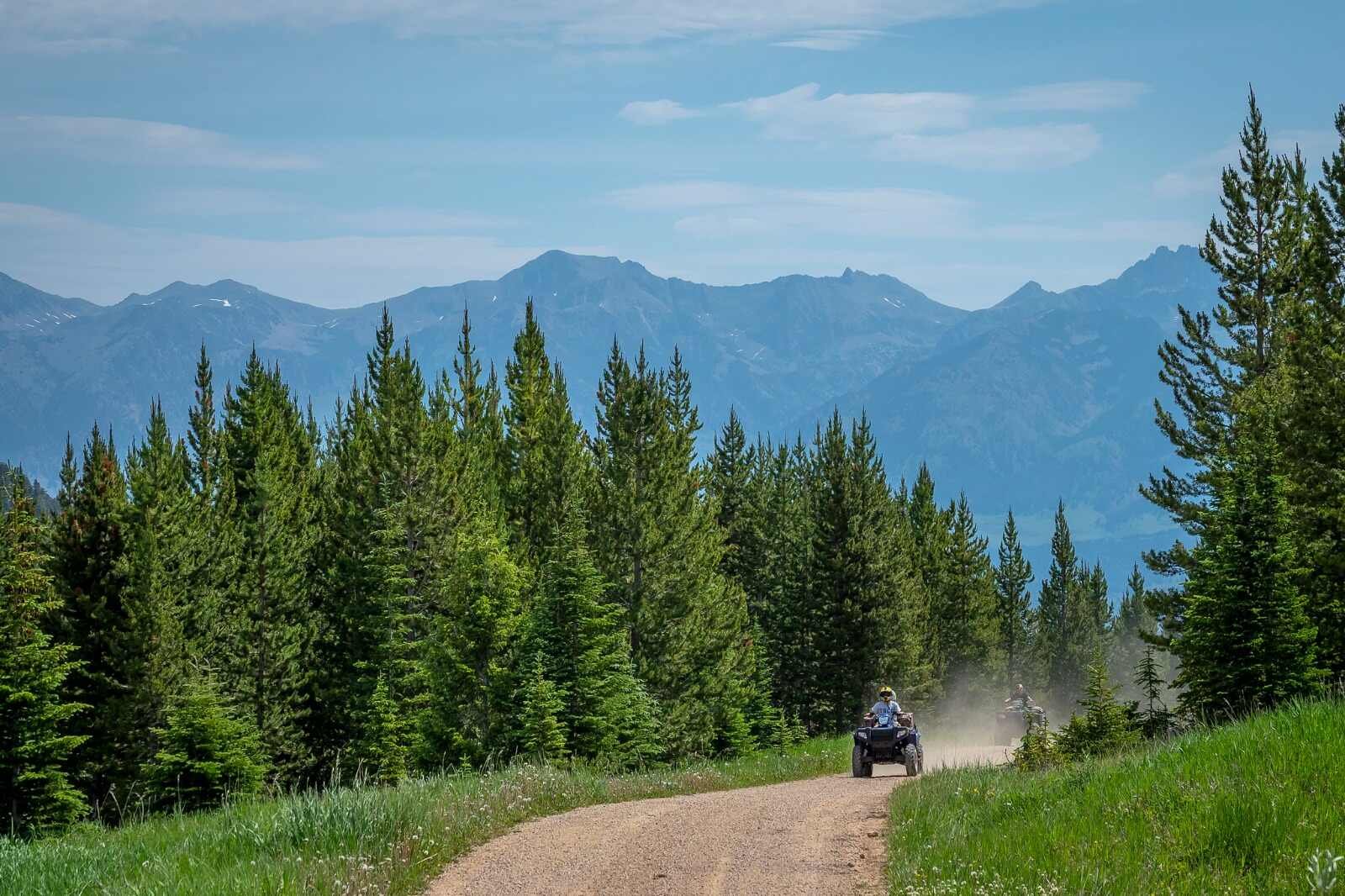 atv ride in forest