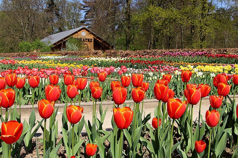 Spring (march & april)