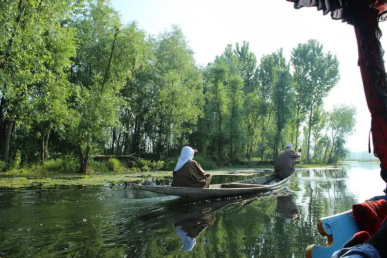 Boating on dal lake