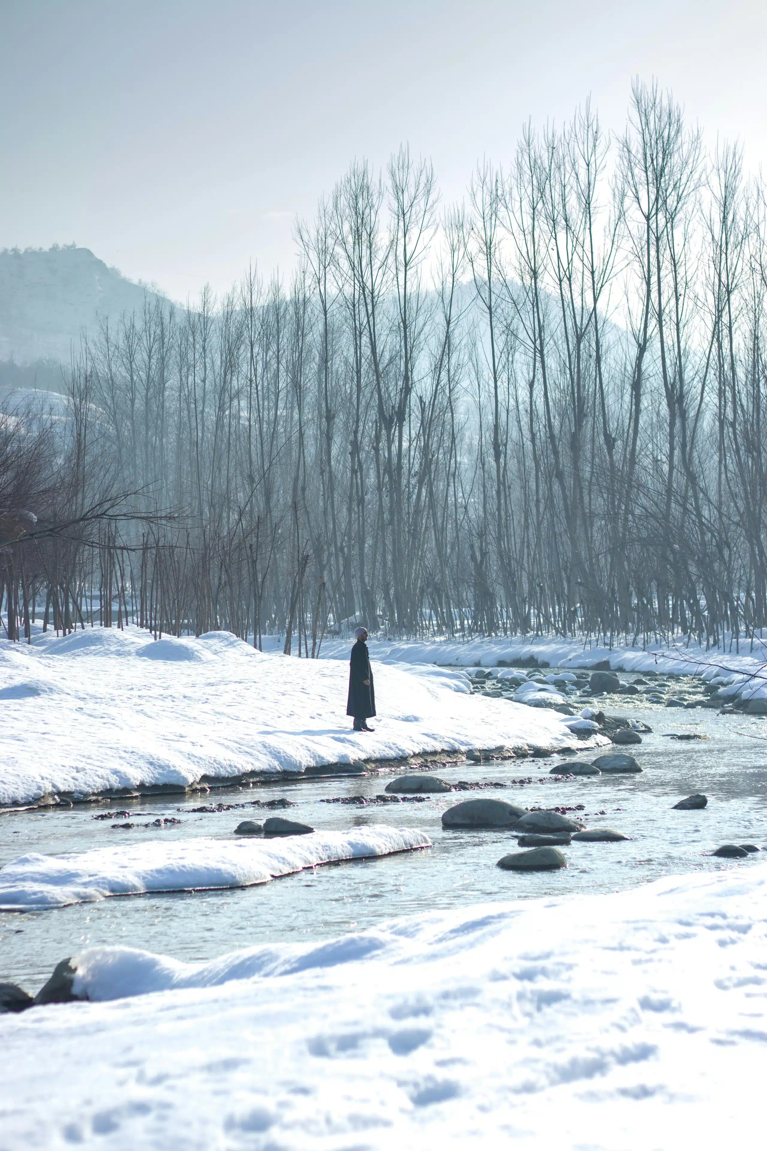 Srinagar in february