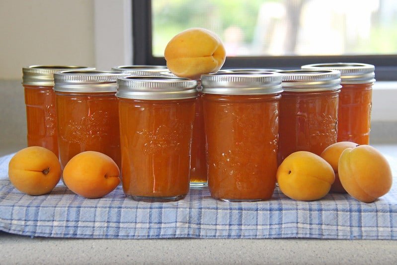 apricot jam
