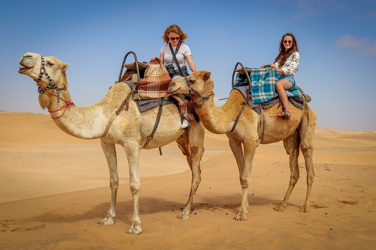 camel safari