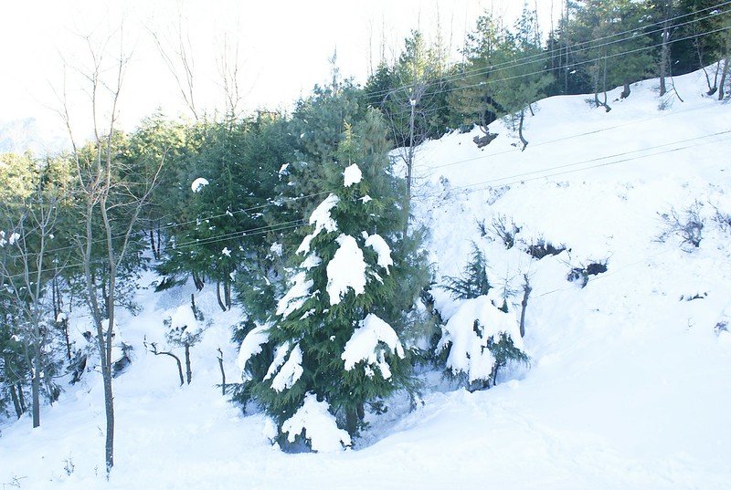 patnitop for snowfall