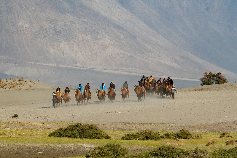 leh ladakh tour packages from mumbai