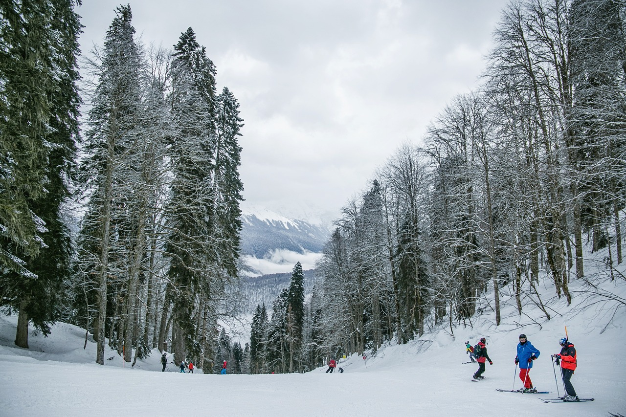 Skiing In Patnitop