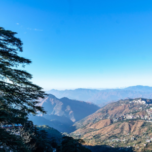 Shimla
