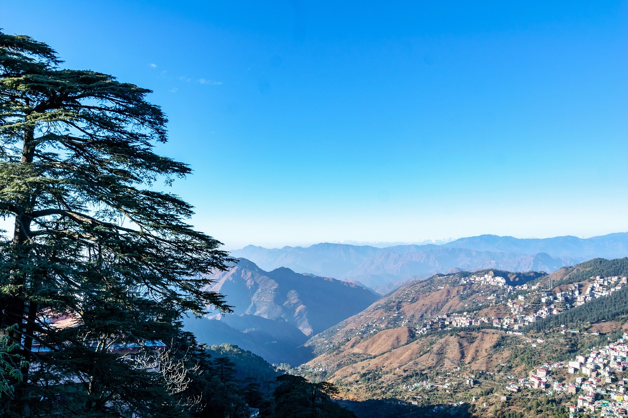 Shimla