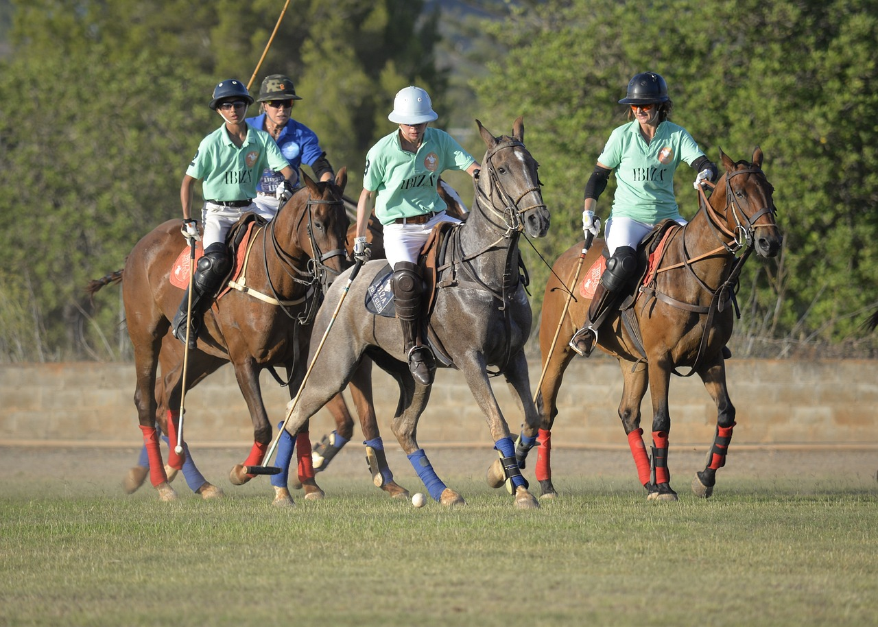Polo Ground in Turtuk
