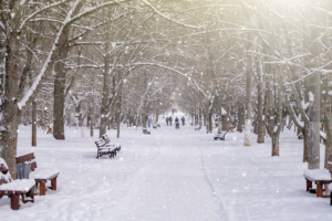 Where to See Snowfall in India