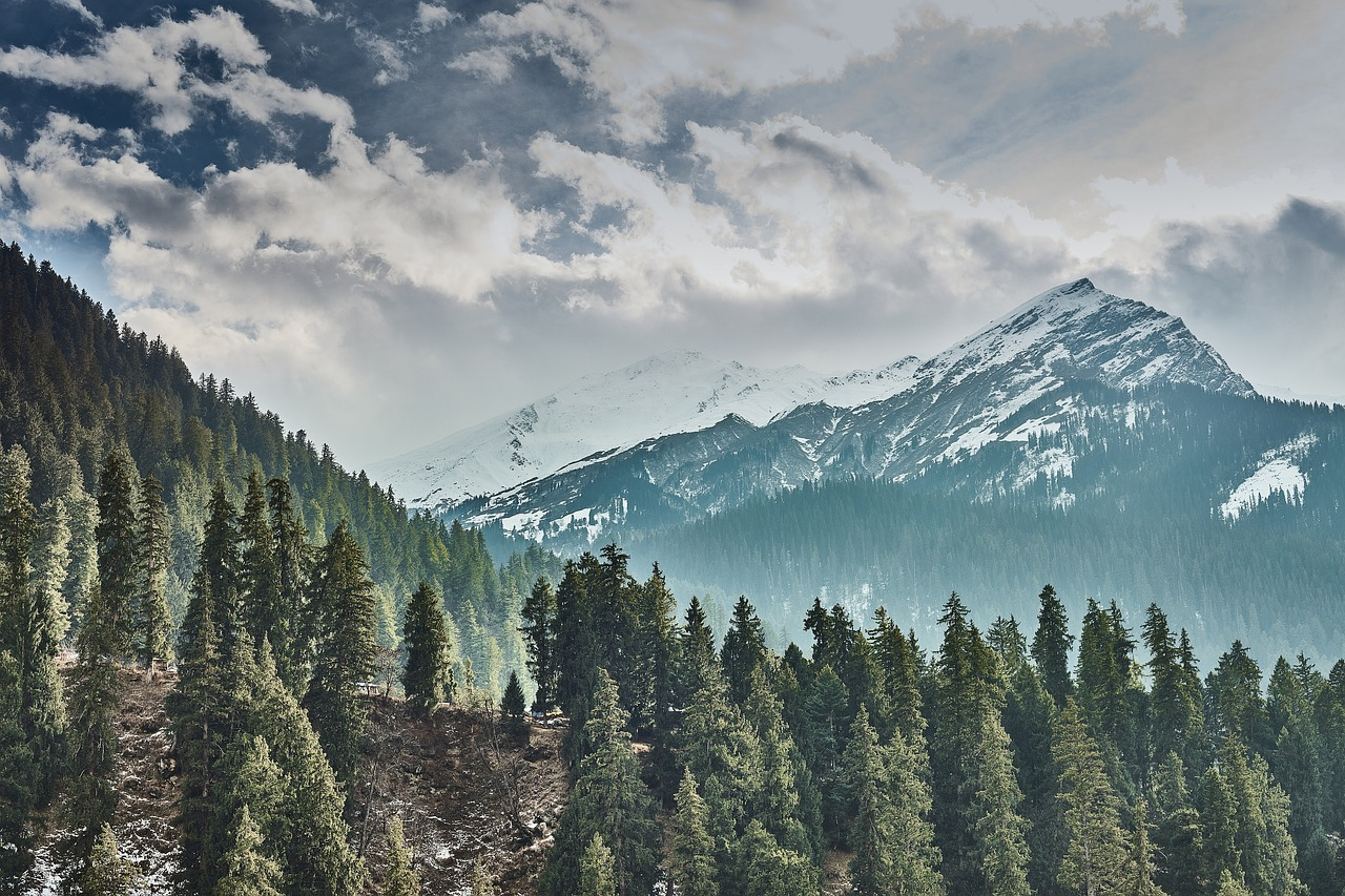 Manali