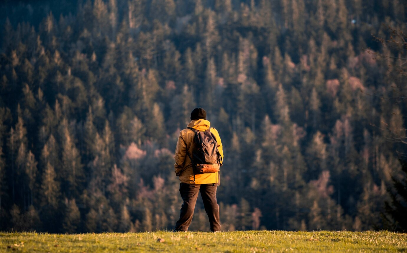 Nature Walks In kashmir