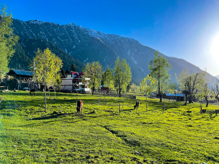 Peora - Offbeat Place in Uttarakhand