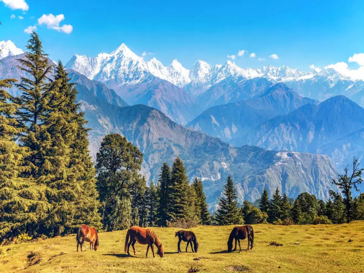 Munsiyari - Offbeat Place in Uttarakhand