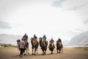 Things To Do In Leh