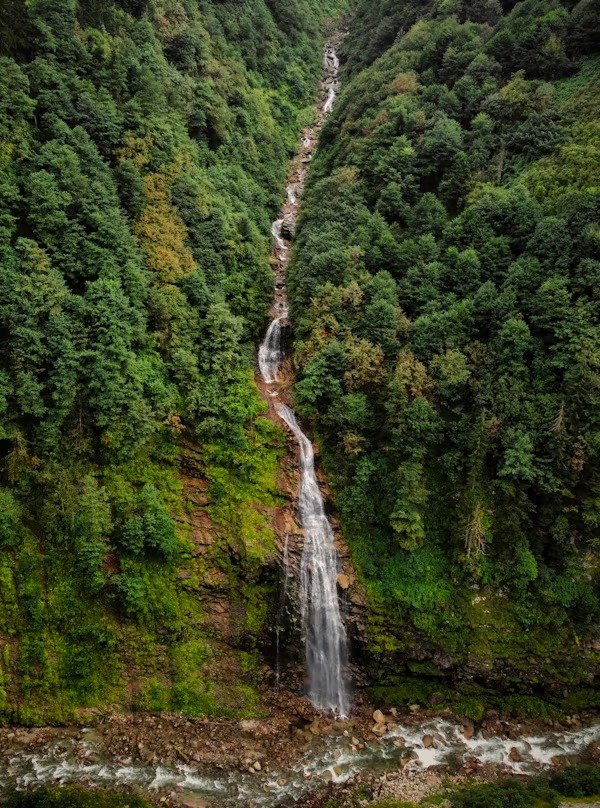 Chadwick Waterfall flowing through dense green forest down a rocky cliff