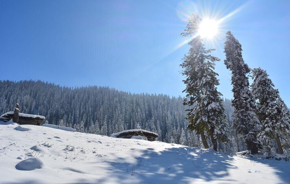 Snow-covered landscape in Pahalgam in November