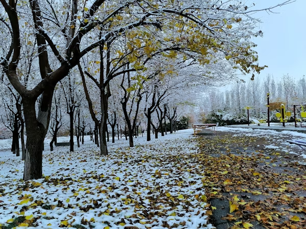 Weather During Off-Season In Kashmir