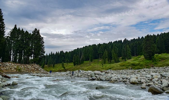 Doodhpathri with flowing stream, pine trees, and green meadows