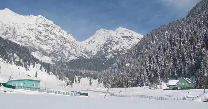 Snow-covered landscape with pine forests and mountains in Pahalgam in winter