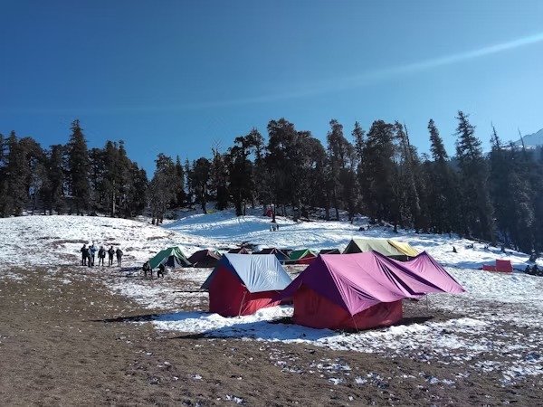 Colorful tents set up on snow-covered ground in a forest during winter camping in ladakh
