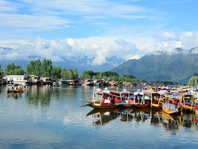 Boats parked at Dal Lake in Srinagar during the Trip