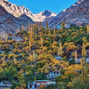Autumn Ladakh
